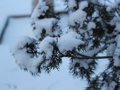 雪景-赛汗塔拉风情园