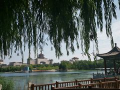 -莲花池公园