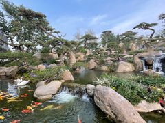 -罗红摄影艺术馆