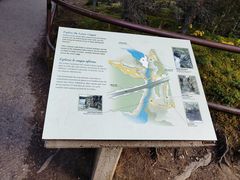 -阿萨巴斯卡瀑布观景点