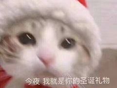 -金石国际大酒店·金丽自助餐厅