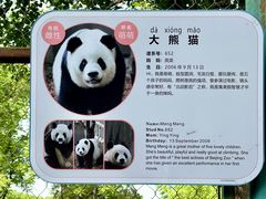 -北京动物园