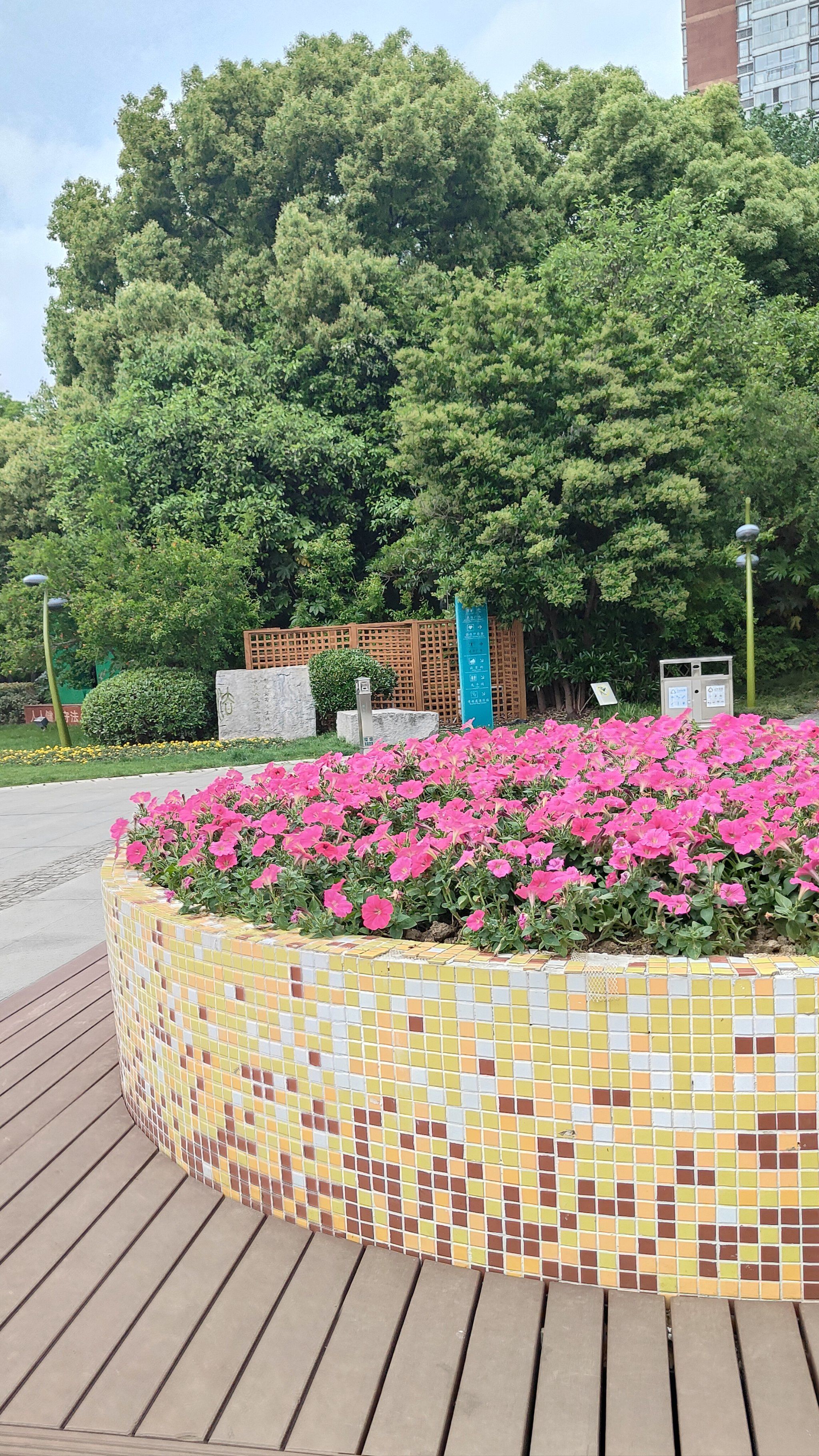 新区公园下沉广场游记