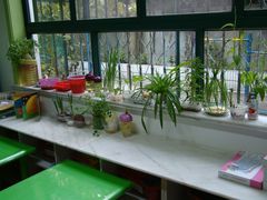 DSC06219-上海市白玉兰幼儿园