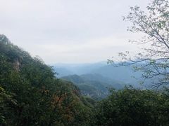 -牛背梁国家森林公园