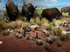 -陕西自然博物馆