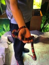 -酷嗒动物文化乐园(cutezoo西溪乐天城店)