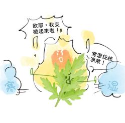 -雅曼妮spa美容养生