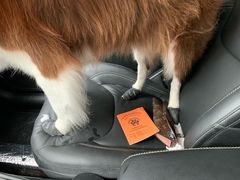 -骐奇宠物诊疗中心(南亭公路店)