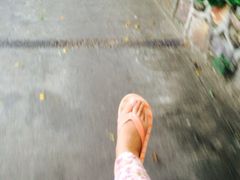 三亚凯莱仙人掌度假酒店-三亚亚龙湾凯莱仙人掌度假酒店