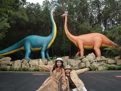 -佛冈森波拉度假区