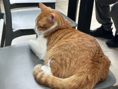 -珊珊小笼馆(仙霞路店)