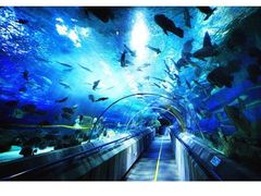 -秦皇岛乐岛海洋王国