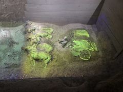 -秦始皇帝陵博物院-丽山园