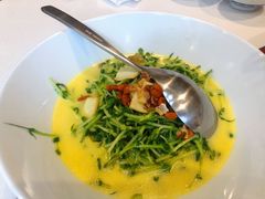 上汤豆苗-禄鼎记·多口味酸菜鱼(侨鑫店)