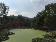 -白马涧龙池景区