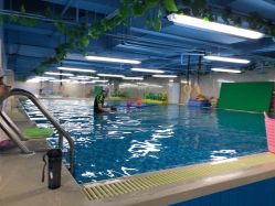 -子木乐园婴儿游泳馆(水晶港店)