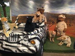 -济州岛泰迪熊博物馆