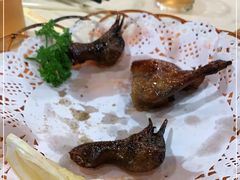 -一煲鸽