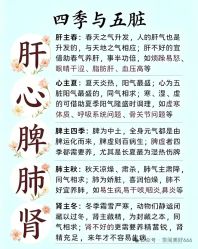 -雅曼妮spa美容养生