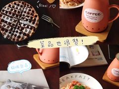 -喵园·猫主题咖啡厅·撸猫·猫咖(国贸店)