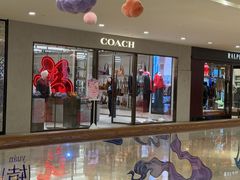-COACH蔻驰(德基广场店)