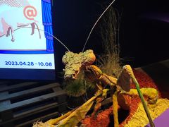 -现代汽车文化中心 Hyundai Motorstudio Beijing
