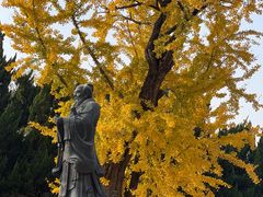 -苏州文庙(姑苏区)