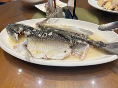 油盐蒸山坑皖鱼-启香鸡私房菜(湖景店)