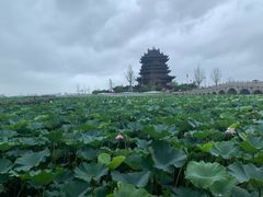 -阳澄湖半岛旅游度假区