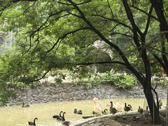 -黔灵山公园-南门售票处
