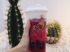 多肉杨梅-喜茶(广州石牌桥店)