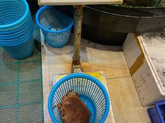 面包蟹-万山楼海鲜酒家·二十三年老字号