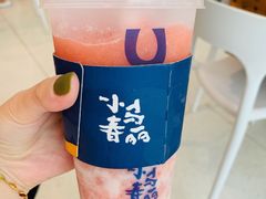 草莓卡士-春丽小马(济南恒隆广场店)