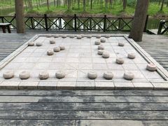 -合肥滨湖国家森林公园