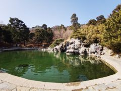 -香山公园