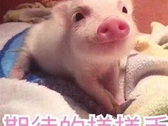 -品腐记·豆腐王朝(老门东总店)