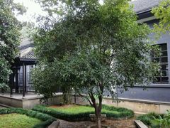 -湖南省立第一师范学校旧址