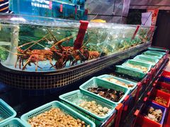 -海大大蒸汽海鲜餐厅·粤菜·特色小炒(欢乐颂店)