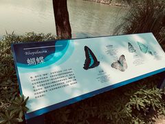 -白鹭湾湿地公园