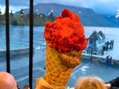 -Patagonia Chocolates(皇后镇店)