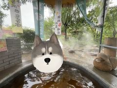 -太白山御龙湾温泉