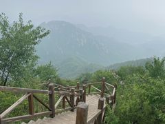 -大岭沟猕猴桃谷风景区