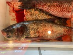 -江湖水乡铁锅炖魚(周庄嘉园店)