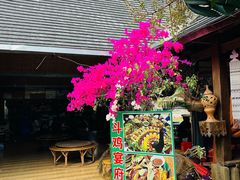 -西双版纳傣族园