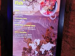 -悉尼海洋生物水族馆