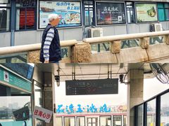 -珠江夜游广州塔·中大码头