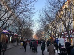 -人民防洪胜利纪念塔