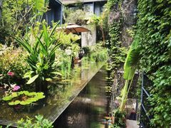-肴约·花园式餐厅(湖里店)