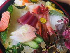 -春草居酒屋·晴子の店